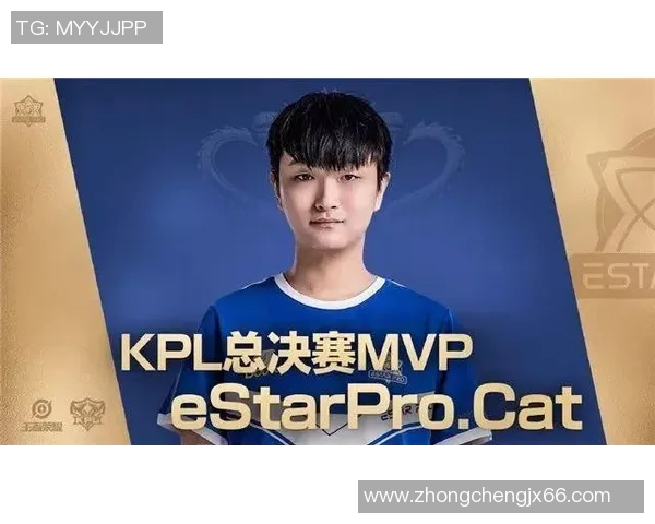 武汉篮球队的崛起之路：城市联赛中的奋斗与荣耀