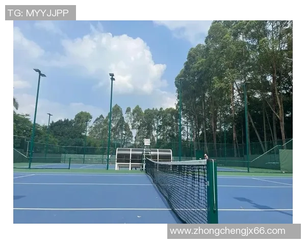 北京网球队的耐力揭秘：网球巨献背后的训练与坚持